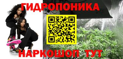 альфа пвп Кингисепп