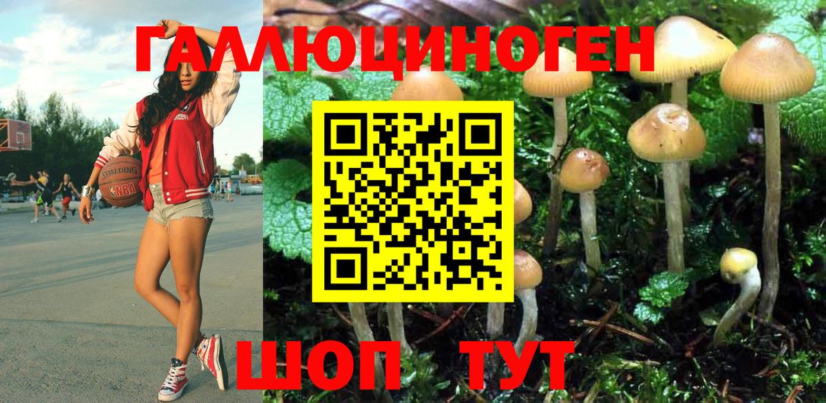 Псилоцибиновые грибы Cubensis Бирск
