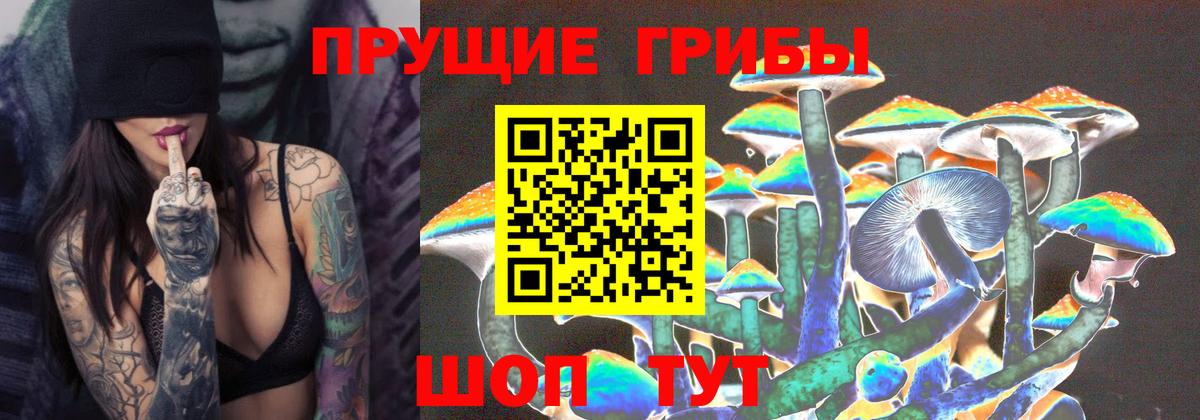 Бирск  купить   Вход с VPN  Псилоцибиновые грибы Cubensis 